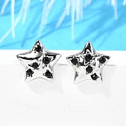 Серьги-гвоздики из нержавеющей стали 304 EJEW-F361-16P