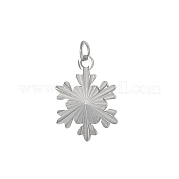 Подвески из нержавеющей стали 304 STAS-OY005-56P