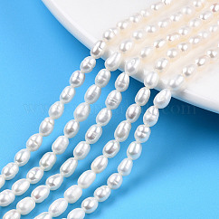Hebras de perlas de agua dulce cultivadas naturales, arroz, color de concha, 5~6.5x3.5~4mm, agujero: 0.7 mm, aproximamente 58~67 pcs / cadena, 12.99 pulgada (33 cm)