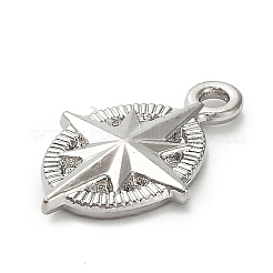 Подвески из сплава  FIND-A051-03A-P