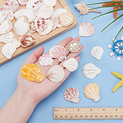 48 шт. поделки из натуральных ракушек DJEW-AR0001-12