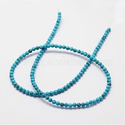 Filo di perline turchesi sintetici&nbsp;G-N0210-01-3mm