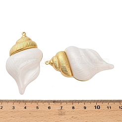 Большие акриловые подвески из нержавеющей стали 304&nbsp;X-STAS-C152-27B-G