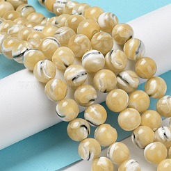 Fili di perline di conchiglia trochus naturale&nbsp;BSHE-P033-03A