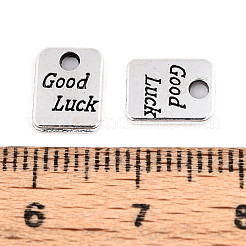 Подвески из сплава в тибетском стиле&nbsp;X-TIBE-N013-03AS