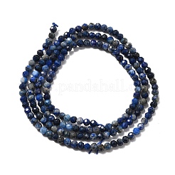 Natürlicher Lapislazuli Perlenstränge&nbsp;LS-G-F509-14-2mm