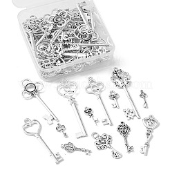 Сплавочные подвески тибетского стиля&nbsp;PALLOY-CJ0001-106