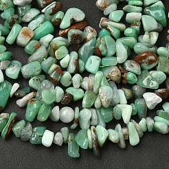 Натуральные хризопразные бисерные пряди G-G0004-D01-A