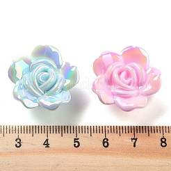 Uv акриловые покрытия бусины&nbsp;OACR-U005-01