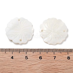 Природные подвески оболочки пресноводных SHEL-D082-14A