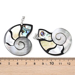 Подвески из натуральных ракушек пауа&nbsp;KK-C135-08B