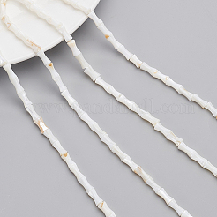 Нити бусин из натуральных пресноводных ракушек&nbsp;SHEL-NB0001-40
