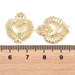 Legierungsanhänger zum Valentinstag&nbsp;PALLOY-T096-05G