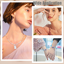 12шт ручной работы бусины лэмпворк&nbsp;LAMP-DR0001-12