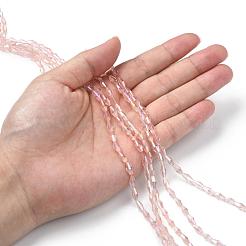 Прозрачные стеклянные бусины&nbsp;GLAA-P001-02A-07