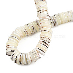 Нити бусин из натуральной ракушки трохус SSHEL-N034-163B