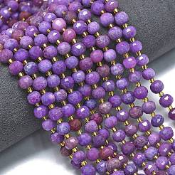 Окрашенные природные белый нефрит бисер пряди G-K389-E56-01