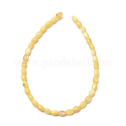 染め天然淡水シェルビーズ連売り  ライス  きいろ  5x3mm  穴：0.8mm  約38個/連  7.24''（18.4センチメートル）&nbsp;SH-CBA2978-06B