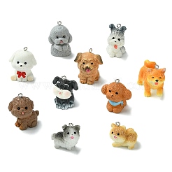 20шт 20 стиля непрозрачные подвески из смолы&nbsp;RESI-CJ0005-06