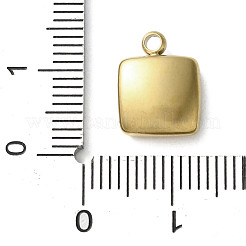 Pendenti in acrilico in acciaio inossidabile 304&nbsp;LS-STAS-M091-02D-G