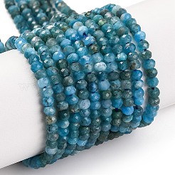 Chapelets de perles en apatite naturelle&nbsp;X-G-F770-D09-02B