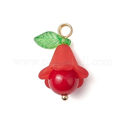 Colgantes de jade mashan natural&nbsp;PALLOY-JF03404-01