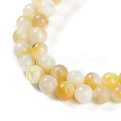 Fili di perline di conchiglia trochus naturale&nbsp;BSHE-H109-12B