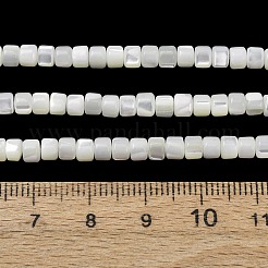 Fili di perle di conchiglia trochid naturale / trochus&nbsp;SH-CBA2978-18A