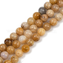 Природный агат бисер нитей G-U026-A07-6mm