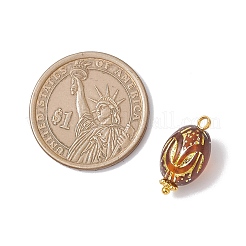 Прозрачные акриловые подвески&nbsp;PALLOY-JF04345