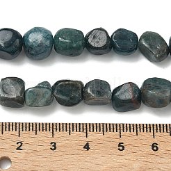 Природного апатита нитей бисера&nbsp;G-R445-8x10-24A