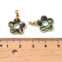 Подвески из натуральных ракушек пауа KK-G538-23G