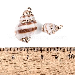 Galvanische natürliche Spiralschalenanhänger&nbsp;SSHEL-Q100-33G