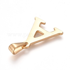 Pendentifs en acier inoxydable 304&nbsp;X-STAS-F106-95G-A-01