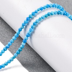 Fili di perline howlite naturale&nbsp;G-C025-02A-05