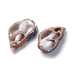 Натуральные спиральные бусы из ракушек BSHE-I016-05