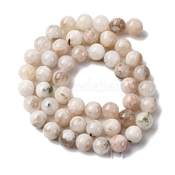 Натуральный белый лунный камень бисер пряди G-I388-01-8mm