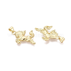 Pendentifs en laiton&nbsp;KK-N287-45E-G