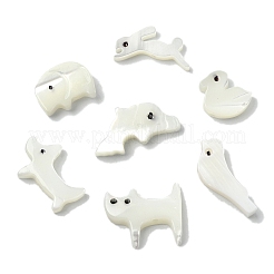14 шт. 7 набора бусин из натуральных белых ракушек с изображением животных FIND-CJ0004-74