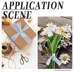 20 ярд переливающейся полиэстеровой гофрированной ленты для шитья OCOR-WH20007-13A