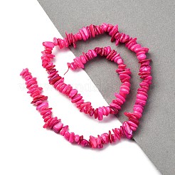 Нити бусин из натуральных пресноводных ракушек&nbsp;BSHE-I016-01G