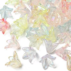 Прозрачные колпачки акриловая бисера&nbsp;OACR-FS0001-49