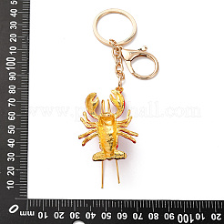 Брелки из сплава эмали KEYC-I116-01G-02