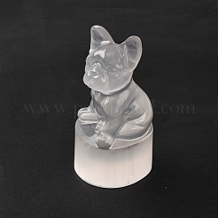 Figurines en sélénite naturelle&nbsp;DJEW-Q006-01B