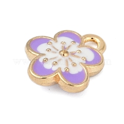 Pendentifs d'émail en alliage&nbsp;FIND-Z070-05G-06