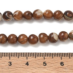 Natürliche Trochusmuschelperlenstränge&nbsp;SH-CBAFEDD-02A