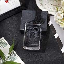 Прозрачные стеклянные украшения дисплея DJEW-WH0010-41