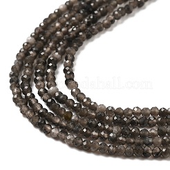 天然銀光沢の黒曜石ビーズ 連売り  ラウンド  多面カット  2mm  穴：0.5mm  約222~224個/連  15.16~15.35''（38.5~39センチメートル）&nbsp;G-E608-A02-A