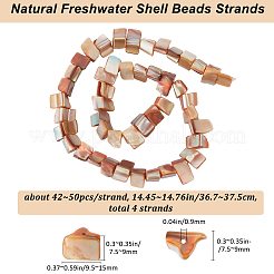 4 нити окрашенных натуральных пресноводных ракушек&nbsp;SHEL-BBC0001-14A