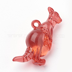 Прозрачные акриловые подвески&nbsp;TACR-T002-09